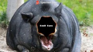 Весело по полю бегает кабанчик (bass boosted) | Emil Bass #bassboosted #кабанчик