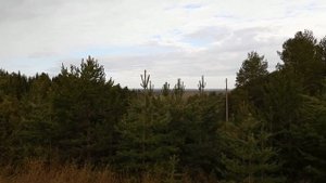 №5126 13 05 2024 Снеговая туча  Голоса птиц