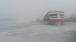 Пришла весна