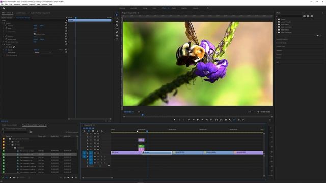 Camera Shutter Transition Premiere Pro Drag And Drop смотреть онлайн