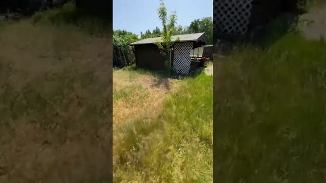 Взяли себе дачу в Германии не в лучшем состоянии. Будем приводить её в порядок смотреть онлайн