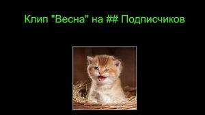 КЛИП "ВЕСНА" ОТ WIFLEKS