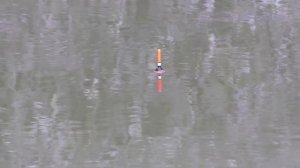 Закинул удочку в коряжник...такого не ожидал