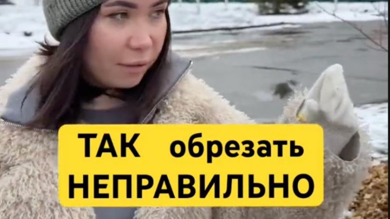 3 правила как легко и просто самому обрезать деревья