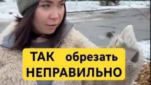 3 правила как легко и просто самому обрезать деревья