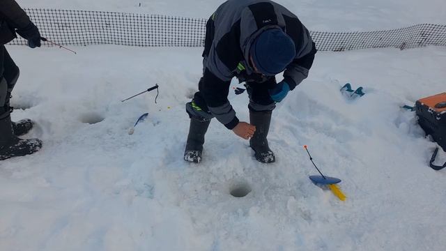 8 февраля 2024 г.1