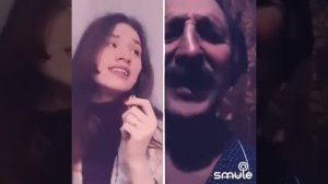 Летела гагара