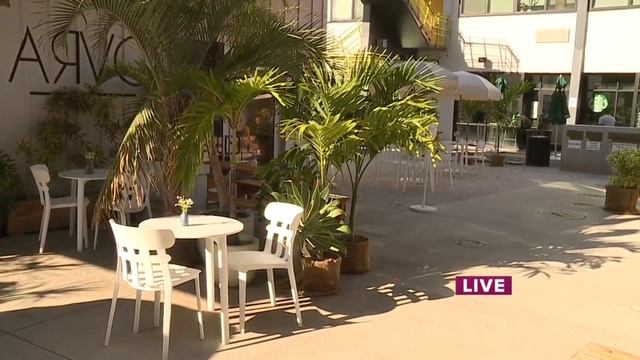 WakeUp2Day:Restaurant Workers respond to the 75% capacity limit adjustment and say ‘it does not hel смотреть онлайн