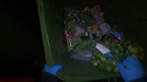 Dumpster Diving (Germany) : BLESSING OVERLOAD AGAIN!!!