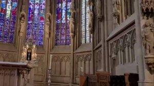 Музыка Франка Сезаря, орган.