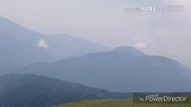 Была в абхазиииПицунда Золотое руно