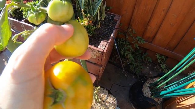 В Калифорнии стоит жара. Все горит. Покос травы. Профессиональная чистка камина смотреть онлайн