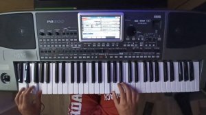 Equinoxe, Pt. 5 (Jean Michel Jarre) Korg pa900 Cover