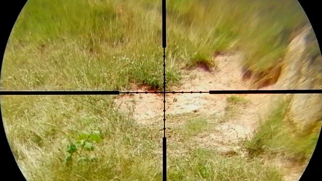 Cero a 100 metros. pruebas con pcp Benjamín Marauder regulado. смотреть онлайн