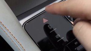 BYD Song PLUS DM-i Champion Edition in-depth Walkaround