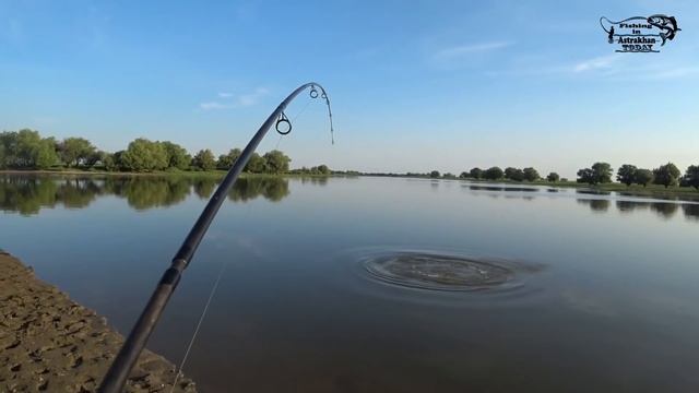 не сазан, а сазанище смотреть онлайн