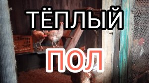 Когда убирать теплый пол в курятнике у кур-несушек