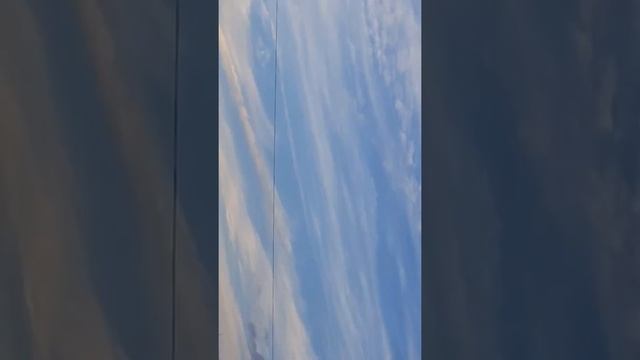 ОДУВАНЧИКИ!!! смотреть онлайн