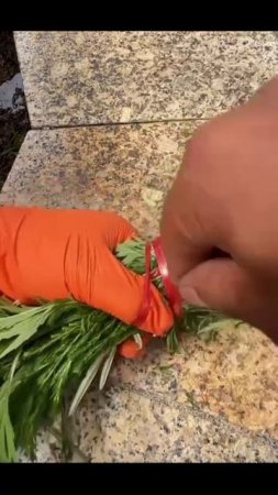 How to tie a bunch of parsley