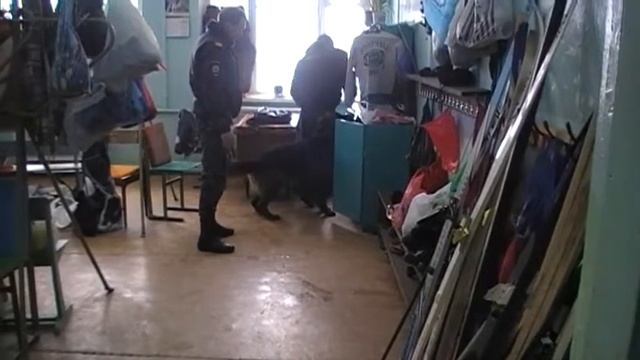 Поиск взрывного устройства в школе в г. Гусь-Хрустальный специалистом-кинологом смотреть онлайн