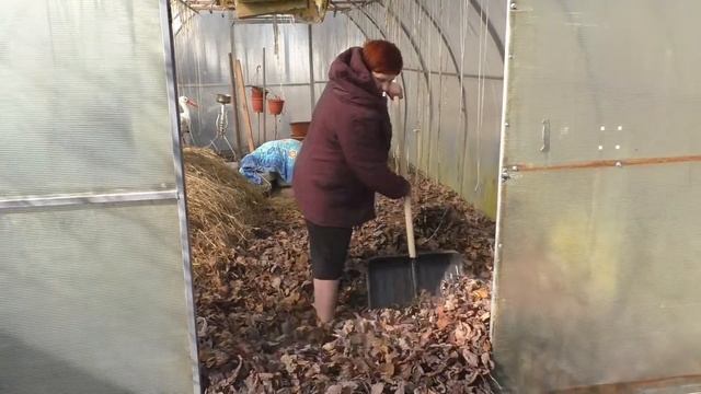 Наводим порядок в теплице.  Часть 1.