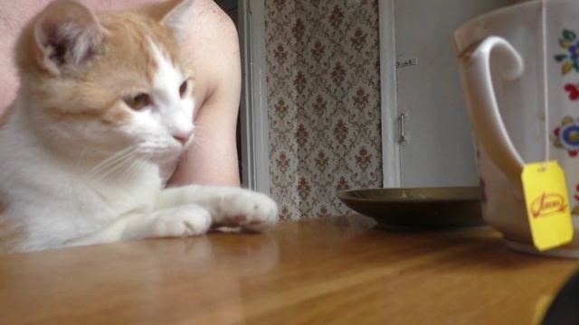 Рижик. Моменти. Ч.1 смотреть онлайн