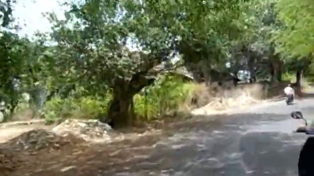 Vom NIO zum Guesthouse смотреть онлайн