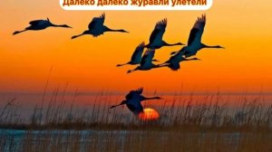 Далеко далеко журавли улетели