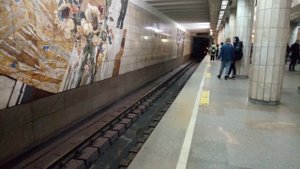 Номерной прибывает на станцию Сибирская