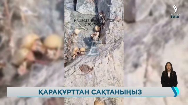 Павлодарда қарақұрт қаптады смотреть онлайн