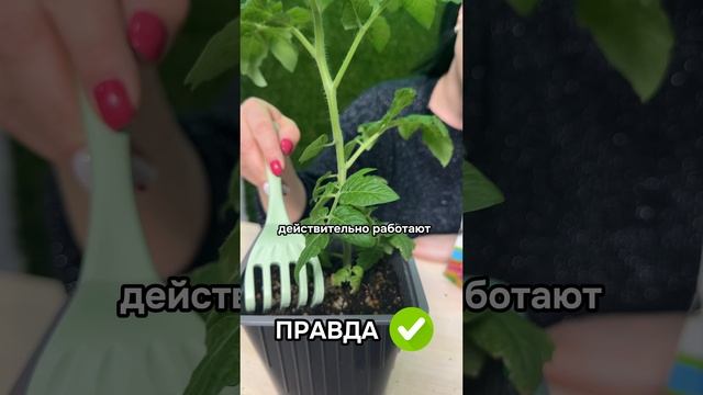 Развеиваем мифы об органическом удобрении без навоза и куриного помета 🌱