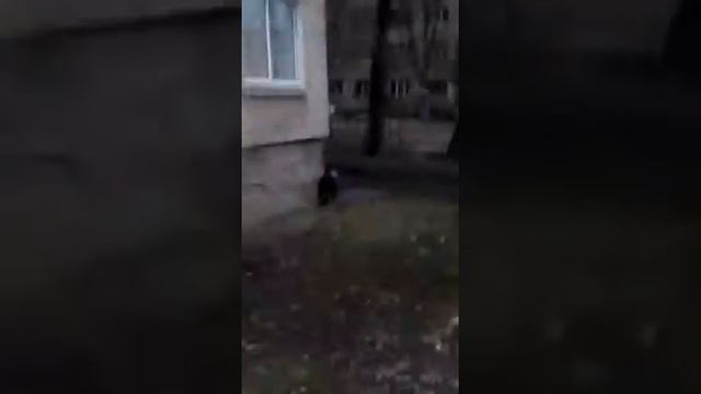 Ацкк смотреть онлайн