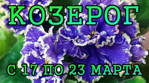 КОЗЕРОГ таро прогноз на неделю с 17 по 23 МАРТА 2025 года.