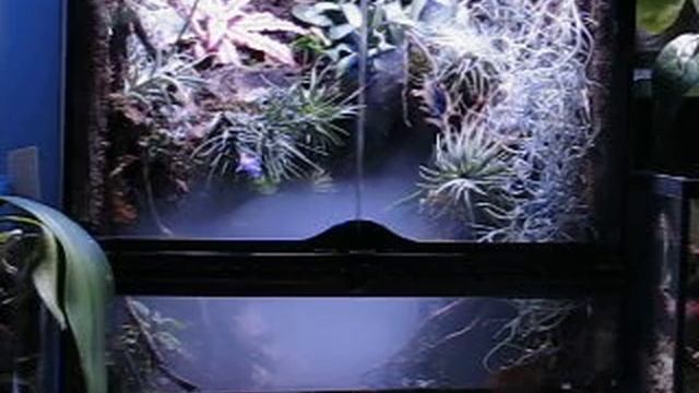 Paludarium смотреть онлайн