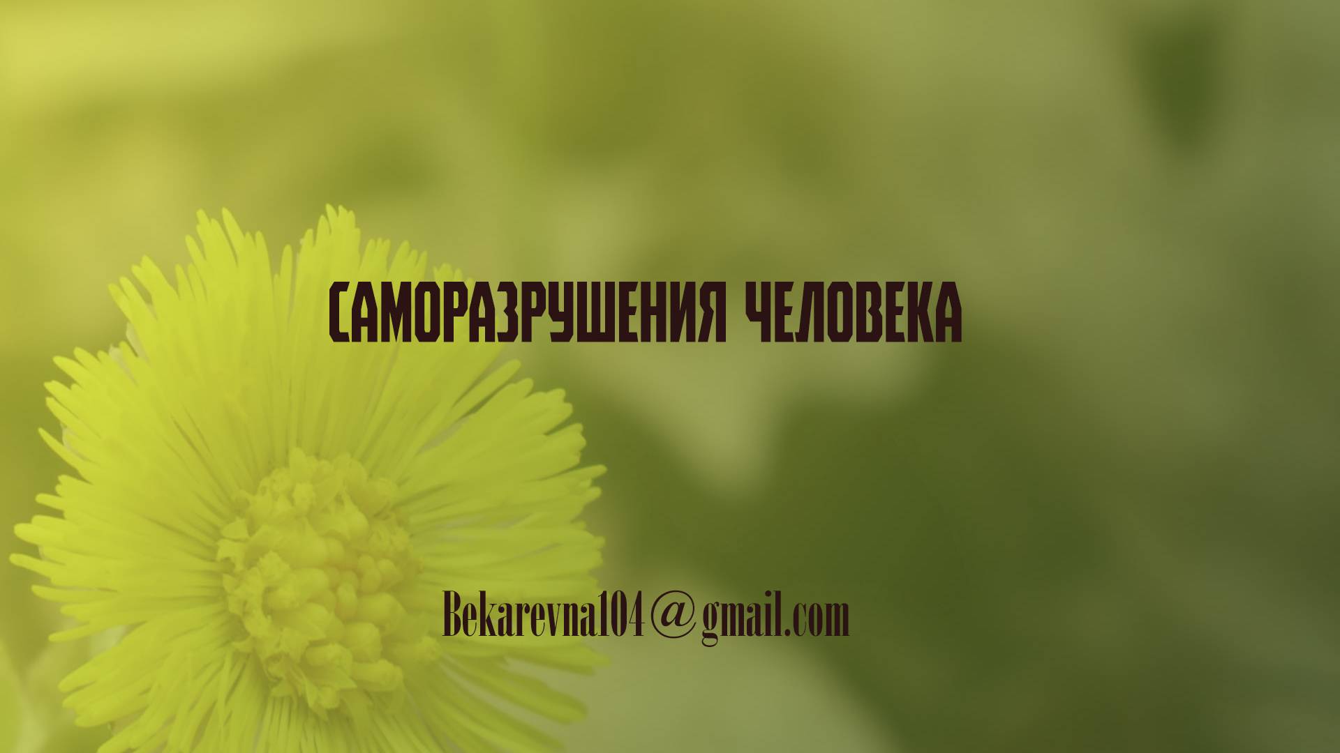 Саморазрушения человека | Типы самоуничтожения | Разговор по душам
