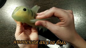 Моя коллекция