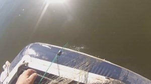 Рыбалка на сети в Сибири!