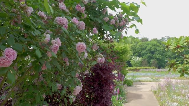 САДЫ ЯПОНИИ САД СОКРОВИЩ ТОБУ Tobu Treasure Garden  один из самых красивых японских садов