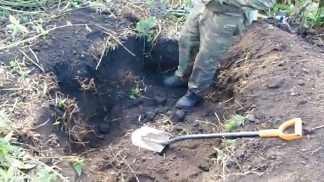 Шурф,кокарда лесника. смотреть онлайн