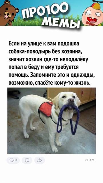 Мемы 2021 года. Лучшие Мемчики за день. Смешные Животные с Озвучкой #shorts смотреть онлайн