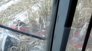 ми-2 на зимней уборке кукурузы