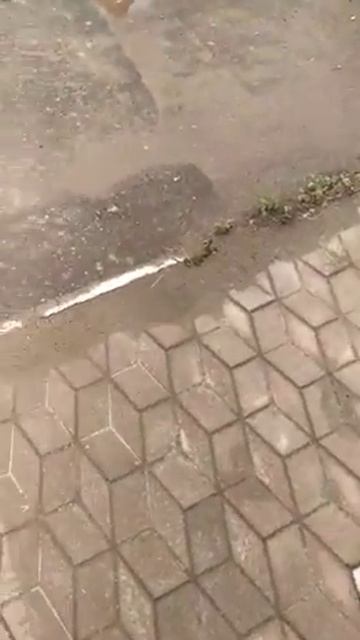 грязь  в Калинино