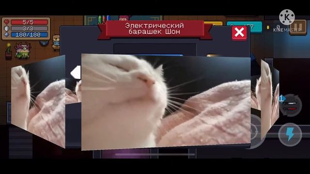 КОТ 🐱 ФЛЕКСИТ ПОД МУЗЫКУ ИЗ СОУЛ КНАЙТ смотреть онлайн