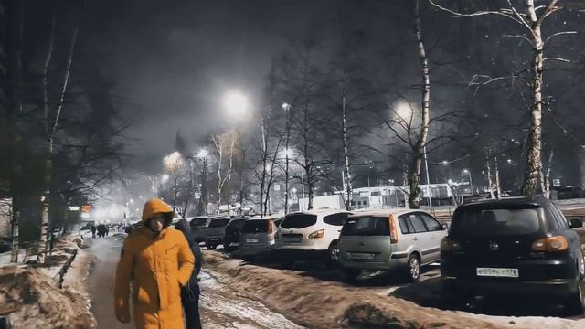 VID 20240130 191204 Павлин (Кристоф Меккель)...Павел Васильев Лахтинский смотреть онлайн