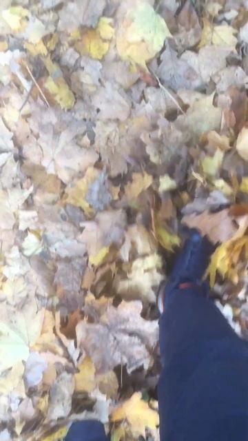 Любимое время года смотреть онлайн