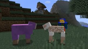 говорящие овцы в minecraft