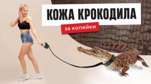 Кожа крокодила своими руками. За копейки и легко. Мастер-класс.