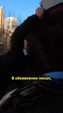 Целеустремлённый перекуп в гости пришел