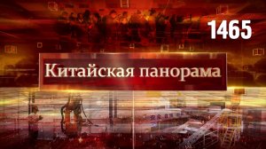 Зеркальные меры, выгода для всех, на страже личных данных, ворота в Китай – (1465)