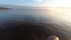 Такие приманки трофейная щука не пропустит. Крупный силикон для трофейной щуки.